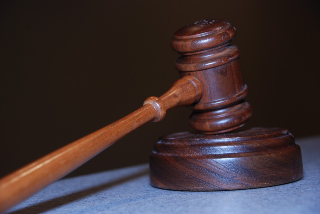 LITIGATION SUPPORT